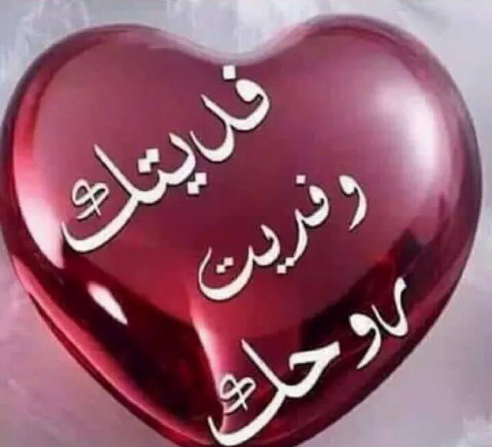 وش ارد على كلمة فديت ؟
