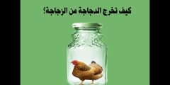 كيف تخرج الدجاجة من الزجاجة ؟