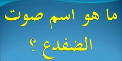 ما اسم صوت الضفدع
