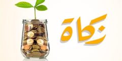 هل يوجد احد من الصحابة اخرج زكاة الفطر نقدا؟