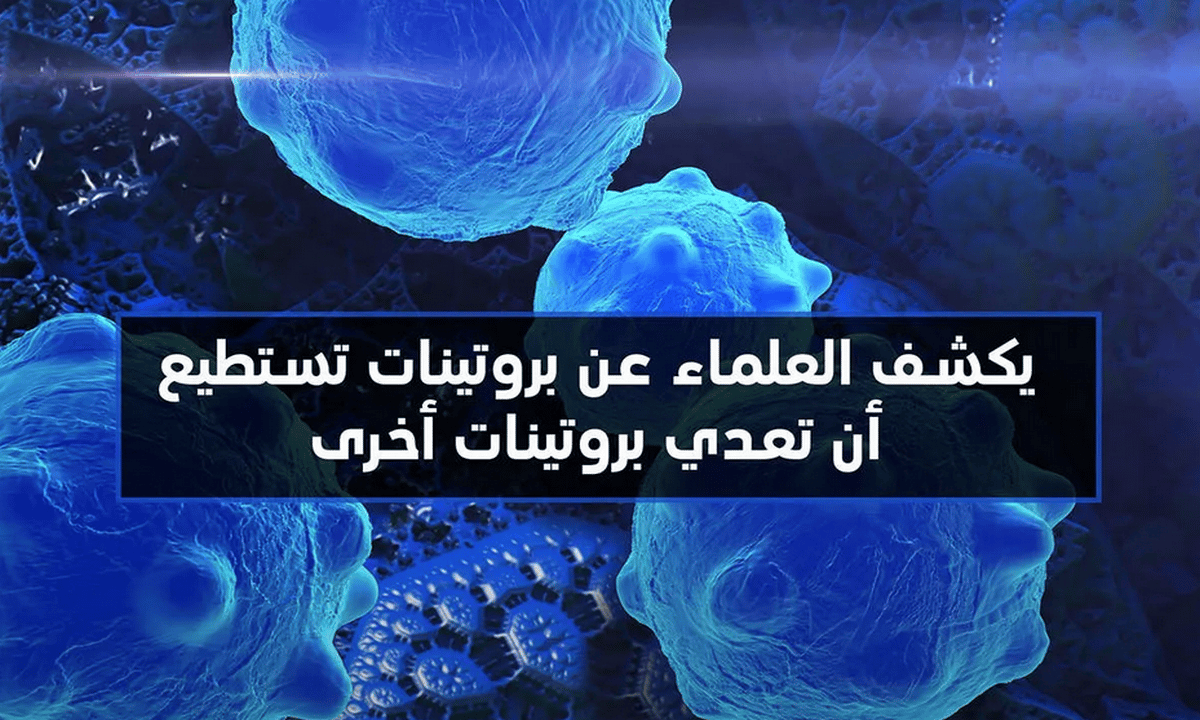 الدقيقة البروتينية المعدية هي