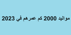 كم عدد الأيام من 2000 إلى 2023