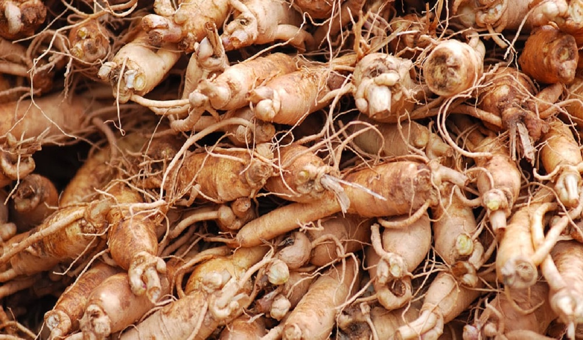 ما فوائد عشبة الجنسنج لزيادة الوزن