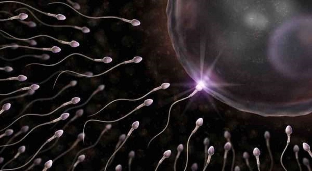ما هي أسباب ضعف الخصوبة لدى الرجال 2 ما هي أسباب ضعف الخصوبة لدى الرجال