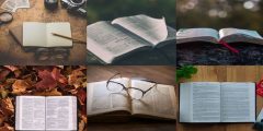 تحميل كتاب رحلة عشق علي المياحي pdf