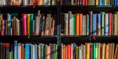 تحميل كتاب قالت وقال حوارات في العشق الأفلاطوني pdf